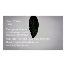 Isolated Green Leaf on white background Business Card