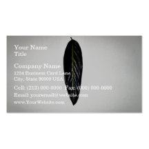 Isolated Green Leaf on white background Business Cards