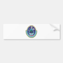 ISS INTERNATIONAL SPACE STATION BUMPER STICKER