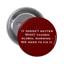It doesn't matter WHAT caused global warming - ... Pinback Button