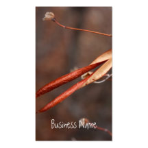 It Hurts to be Beautiful Business Card Templates