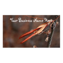 It Hurts to be Beautiful Business Cards