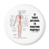 It Takes Arteries To Function Properly (Artery)