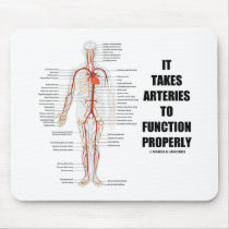 It Takes Arteries To Function Properly (Artery)