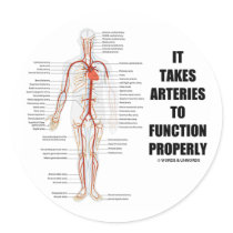 It Takes Arteries To Function Properly (Artery)