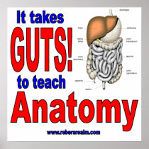 it takes guts anatomy