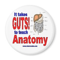 It takes GUTS to teach anatomy Magnets