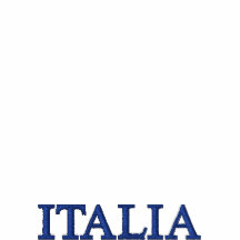 ITALIA MMX - Italy 2010 embroidered shirt