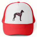Italian Greyhound BFF Gifts hats