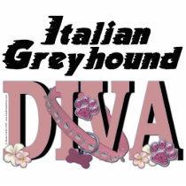 Italian Greyhound DIVA