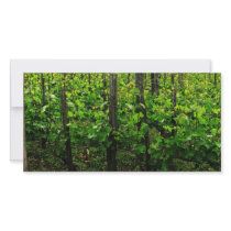 ITALIAN VINEYARD TUSCANY PHOTO CARD TEMPLATE