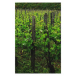 ITALIAN VINEYARD TUSCANY stationery