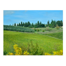 Italian Wine Country Post Card