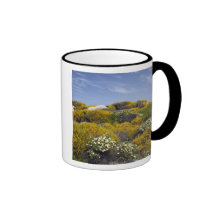 Italy, Sardinia, Santa Teresa Gallura. Capo 3 Mug