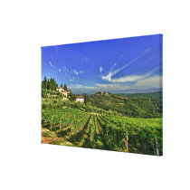 Italy, Tuscany, Greve. The vineyards of Castello Gallery Wrap Canvas