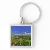 Italy, Tuscany, Greve. The vineyards of Castello Key Chains