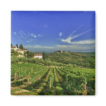 Italy, Tuscany, Greve. The vineyards of Castello Magnets