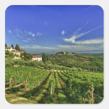 Italy, Tuscany, Greve. The vineyards of Castello Square Stickers
