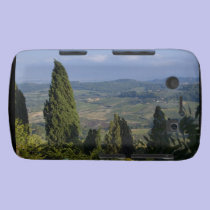 Italy, Tuscany, Montepulciano. View of the casemate cases
