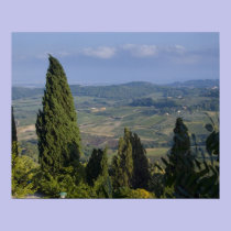 Italy, Tuscany, Montepulciano. View of the posters