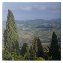 Italy, Tuscany, Montepulciano. View of the tiles
