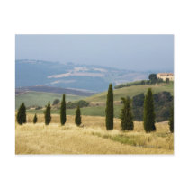 Italy. Tuscany. Pienza. Postcard