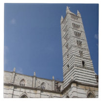 Italy, Tuscany, Siena. The Duomo. tiles
