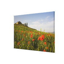 Italy, Tuscany, Tuscan Villa in Spring With