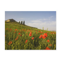 Italy, Tuscany, Tuscan Villa in Spring With