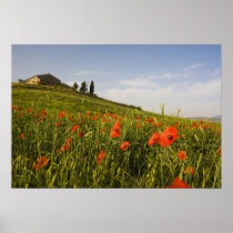 Italy, Tuscany, Tuscan Villa in Spring With
