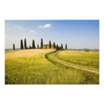Italy, Tuscany, Tuscan Villa nearing Harvest.