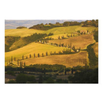 Italy, Tuscany, ZigZag Road in Tuscany.