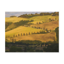Italy, Tuscany, ZigZag Road in Tuscany.