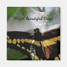 It's A Beautiful Day Magnet
