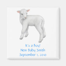 Its a Boy Customizable Lamb Magnet