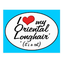 It's a Cat! I Love My Oriental Longhair Postcards