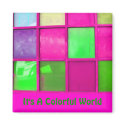 It's A Colourful World magnets