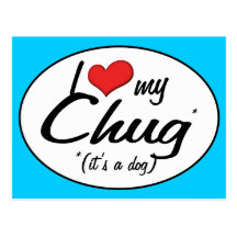 It's a Dog! I Love My Chug Postcard