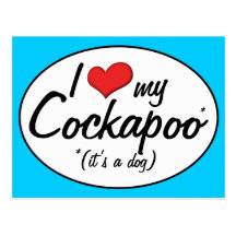It's a Dog! I Love My Cockapoo Postcards