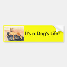 'It's a Dog's Life!' Bumper Sticker