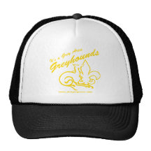 It's a Grey Area Sports Logo Mesh Hat