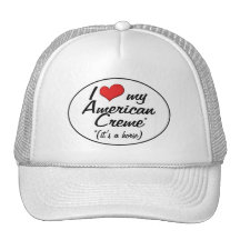 It's a Horse! I Love My American Creme Hats