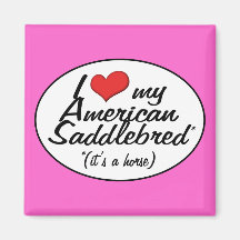 It's a Horse! I Love My American Saddlebred Fridge Magnets