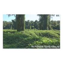 Its A Kudzu World After All