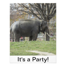 It's a Party Elephant Invitation