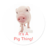 It's A Pig Thing Round Stickers