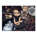"It's All About the Cats" Postcard