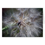 It's All In The Seed Greeting Cards