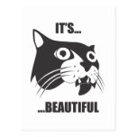 It's Beautiful Post Card