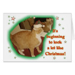 It's Beginning to Look a Lot Like Christmas Card